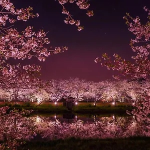 https://masugataya-ryokan.alltokyohotels.com